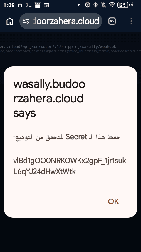 توم جيرى
